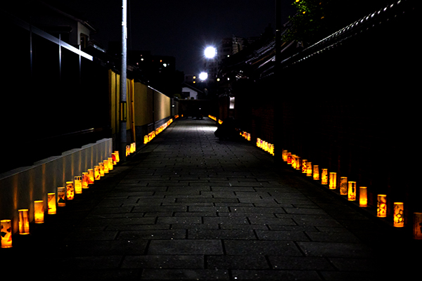 寺町に約1,300個の灯篭が並び幻想的な風景となりました